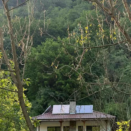 Hills Villa